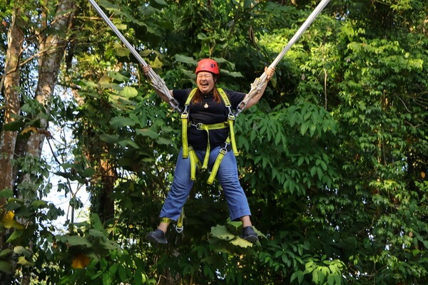 Zipline и верёвочный парк Микли